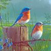 Bluebird Wildlife Art Paint By Numbers