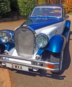 Panther Deville Classic Cars Paint By Numbers