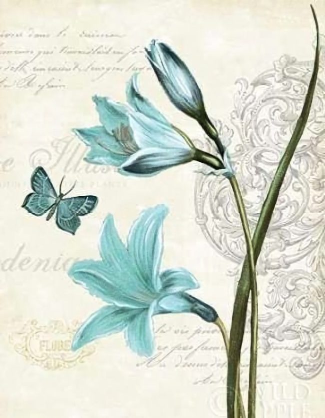 Blue Butterfly Floral Art Paint By Numbers