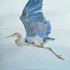 Blue Heron Flying Bird Paint By Numbers