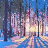 Blue Forest Winter Scene Paint By Numbers