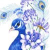 Blue Peacock Paint By Numbers