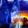 Blue Wolf Animal Paint By Numbers