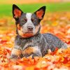 Australian Cattle Dog Paint By Numbers