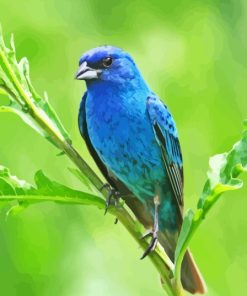 Blue Oriole on Branch Paint By Numbers