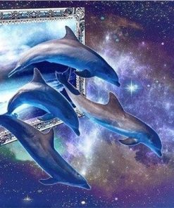Mystical Dolphin Magic Paint By Numbers