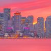 Boston Pink Skyline Paint By Numbers
