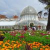 Explore Dublin's Botanic Gardens Paint By Numbers