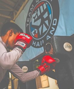 Champion Boxing Sandbag Paint By Numbers