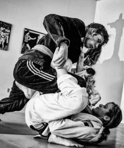 Brazilian Jiu Jitsu Women Paint By Numbers