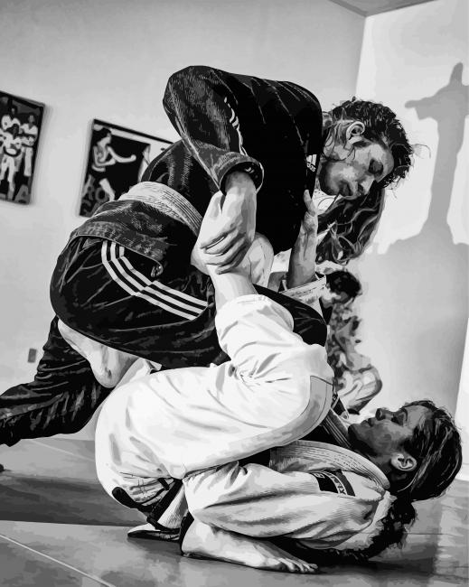 Finalizing Brazilian Jiu Jitsu Women Paint By Numbers artwork