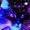 Cat Night Sky Animals Paint By Numbers