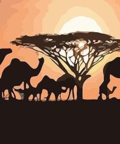 Sunset Camels Paint By Numbers