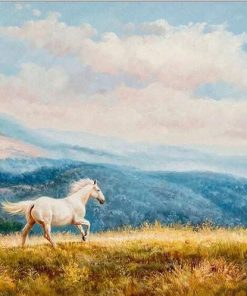 White Arabian Stallion Paint By Numbers