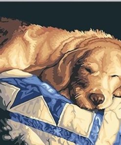 Lazy Dogs in Nature Paint By Numbers