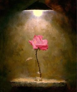 Pink Rose Beauty Paint By Numbers