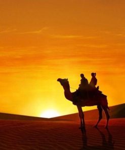 Desert Camel in Sunset Paint By Numbers