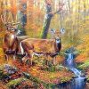 Mule Deer Wildlife Paint By Numbers