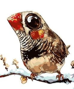 Cute Bird Paint By Numbers