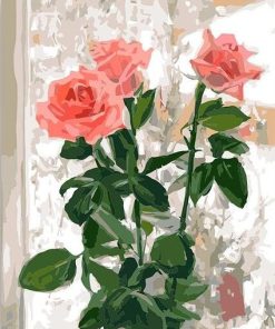 Pink Rose Blooms Paint By Numbers