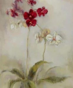 Red and White Flower Art Paint By Numbers