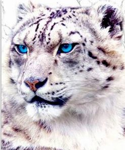 Blue-Eyed Tiger Wildlife Paint By Numbers