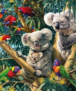 Colorful Birds and Koalas Paint By Numbers