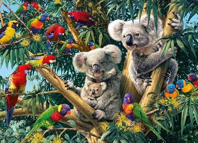 Colorful Birds and Koalas Paint By Numbers