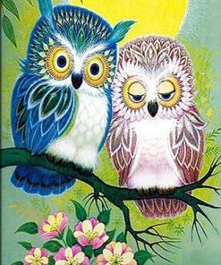 Romantic Owl Pair Paint By Numbers