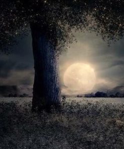 Moonlit Tree Landscape Paint By Numbers