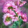Peony Butterfly Flower Paint By Numbers