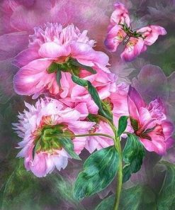 Peony Butterfly Flower Paint By Numbers
