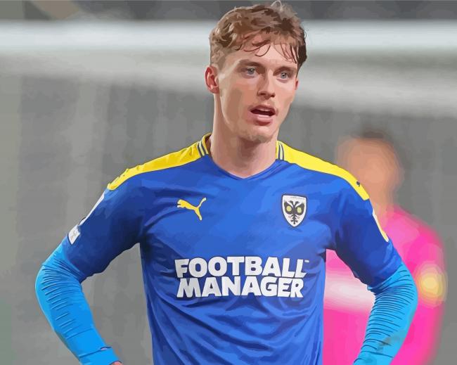 Bristol Rovers completed paint by numbers artwork