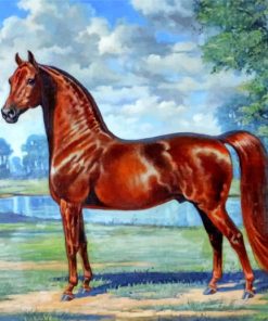 Arabian Horse Masterpiece Paint By Numbers