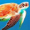 Brown Sea Turtle Painting Kit Paint By Numbers