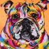 Colorful Bulldog Animal Paint By Numbers