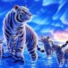 White Tiger Art Paint By Numbers
