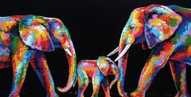 Rainbow Elephant Family Animals Paint By Numbers