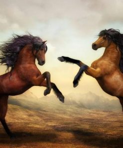 Galloping Stallions Paint By Numbers