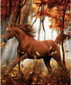 Arabian Horse Autumn Paint By Numbers
