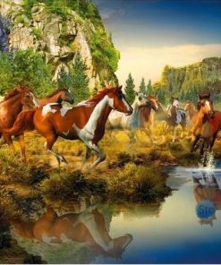Wild Stallions Herd Paint By Numbers