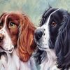 Twin Dogs Puppy Paint By Numbers