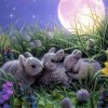 Wildlife Rabbits Paint By Numbers