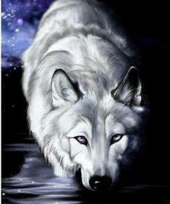 Arctic Wolf Animals Paint By Numbers