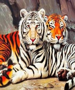 Tiger Couple Wildlife Paint By Numbers