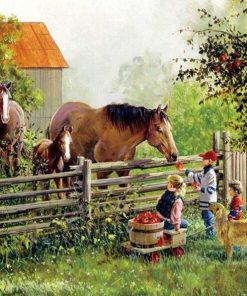 Horses and Foals Rural Scene Paint By Numbers