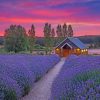 Log Cabin in Lavender Landscape Paint By Numbers