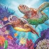 Turtle Undersea Adventure Paint By Numbers