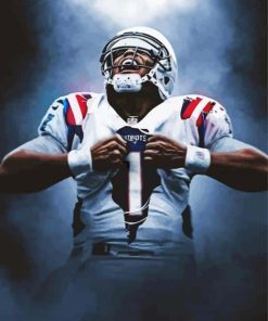 Cam Newton Sports Star Paint By Numbers