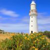 Beautiful Cape Otway Lighthouse View Paint By Numbers